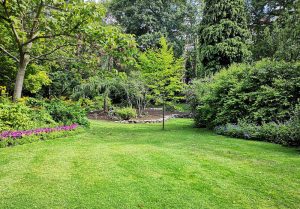 Optimiser l'expérience du jardin à Disse-sous-le-Lude