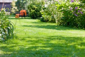 travaux jardin et paysage Disse-sous-le-Lude